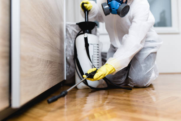 Best Pest Prevention Services  in Waverly, NY