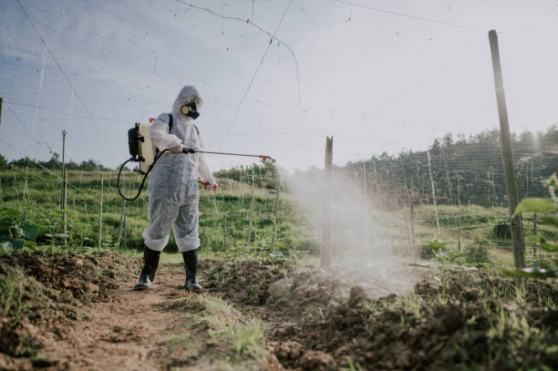 Pest Control Cost in Waverly, NY