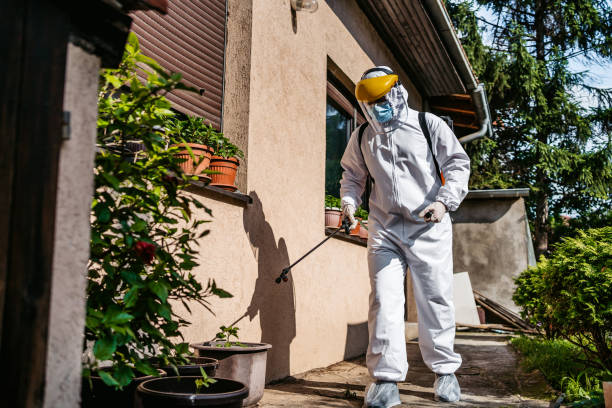 Best Local Pest Control Services  in Waverly, NY