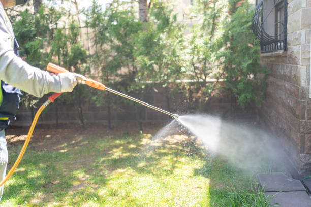 Best Flea Control Services  in Waverly, NY