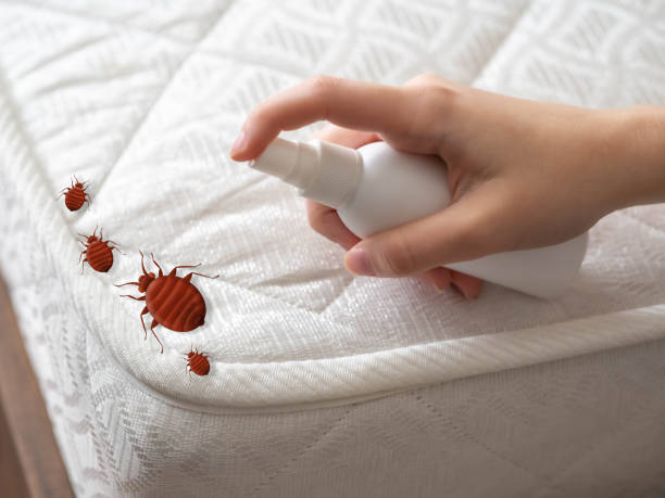 Waverly, NY Pest Control Company